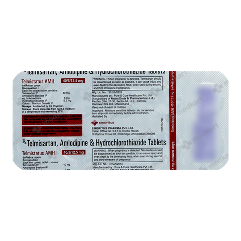 Telmistatus AMH Tablet 10’s – Dosage & Usage Instructions
