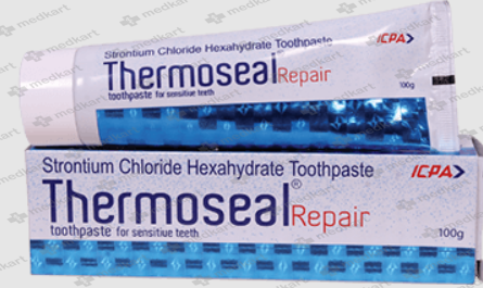 thermoseal-repair-paste-100-gm