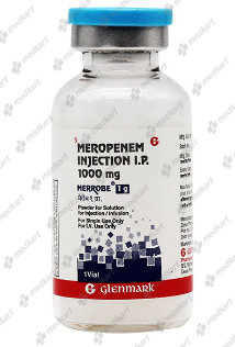 merrobe-1-gm-injection