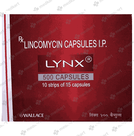 lynx-500mg-tablet-15s