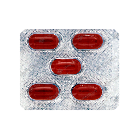 LEVOCHEM 500MG TABLET 5'S