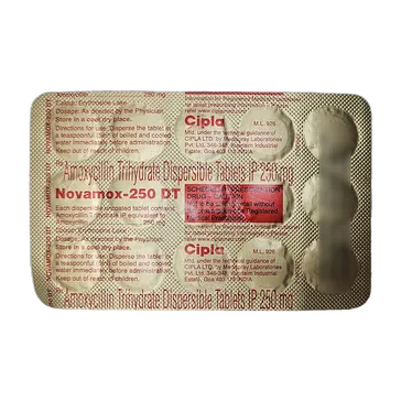 NOVAMOX 250MG DT TABLET 15'S