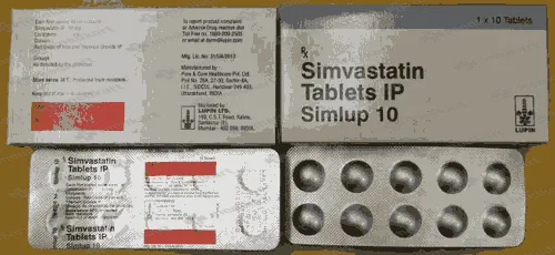 SIMLUP 10