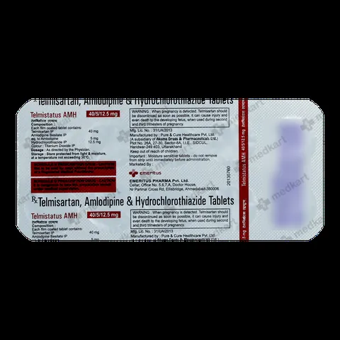 Telmistatus AMH Tablet 10’s – Dosage & Usage Instructions