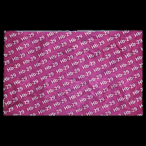 HB 29 TABLET 10'S